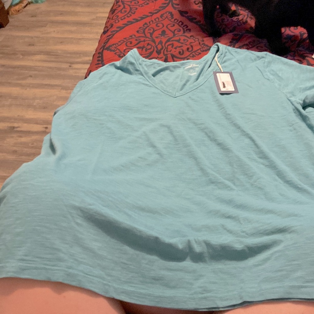 4x blue v neck shirt very soft